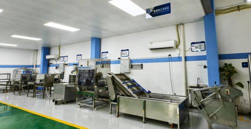 技術賦能，智造未來——廣東省農裝院引領水產養殖與加工新趨勢