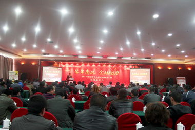 山東鼎基信息技術 專業驅動，助力臨沂企業網站建設與全網運營