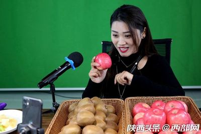 專業合作社引領，果農增收致富路——扶風獼猴桃實現全年供應與銷售新突破